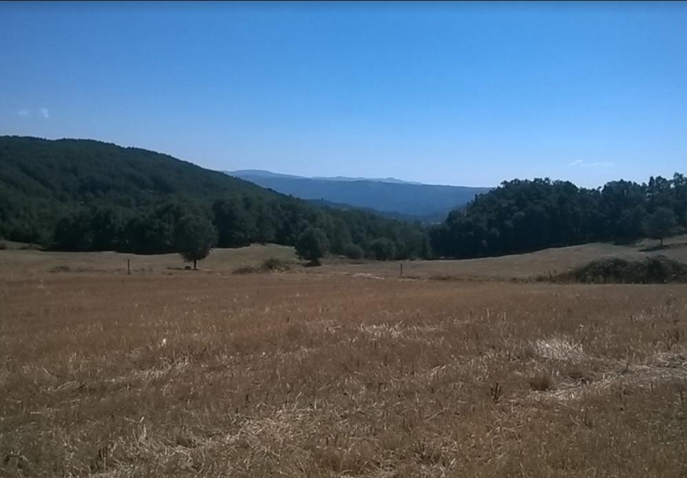 Terreno  Venda em Vilar de Ossos,Vinhais