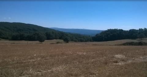 Terreno  Venda em Vilar de Ossos,Vinhais
