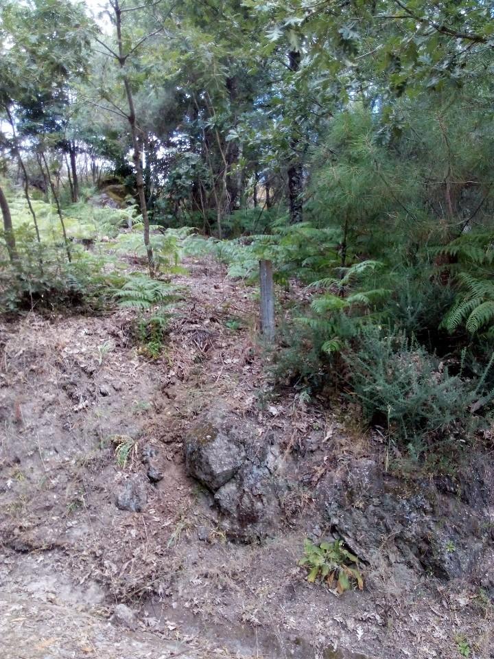 Terreno  Venda em Valadares,Baião