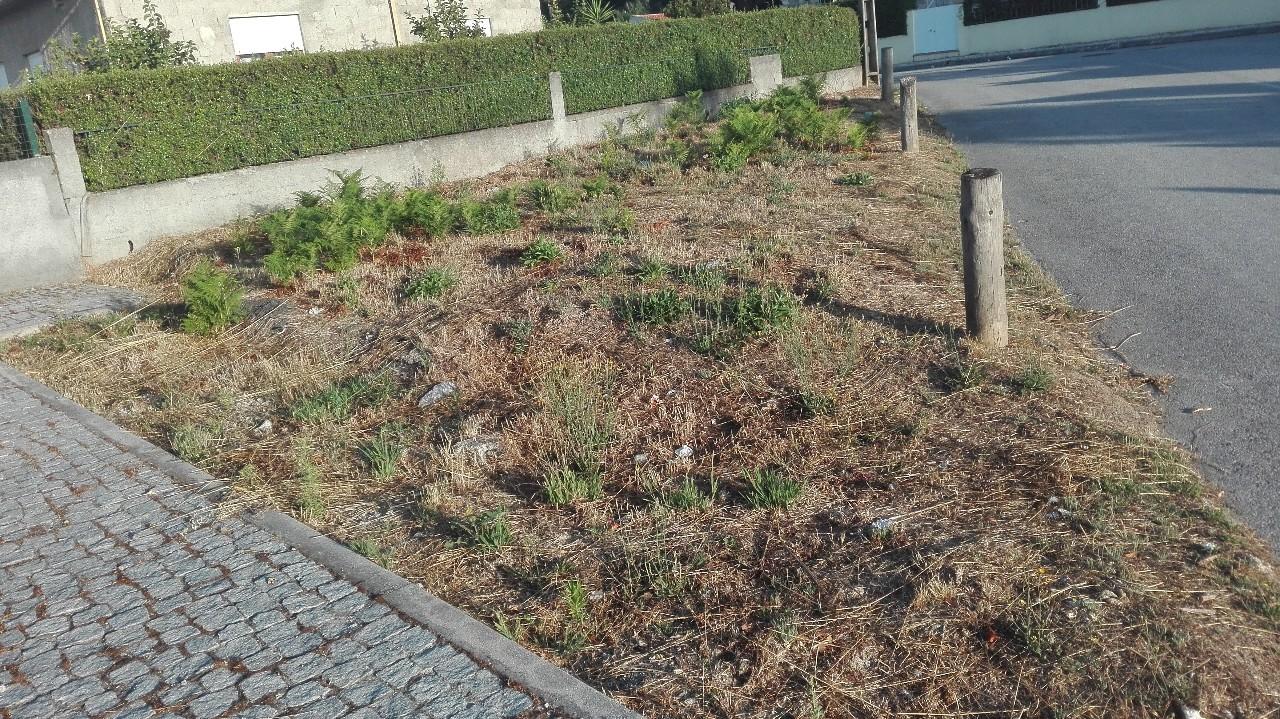 Terreno  Venda em Rio de Loba,Viseu