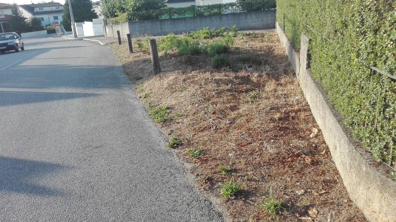 Terreno  Venda em Rio de Loba,Viseu