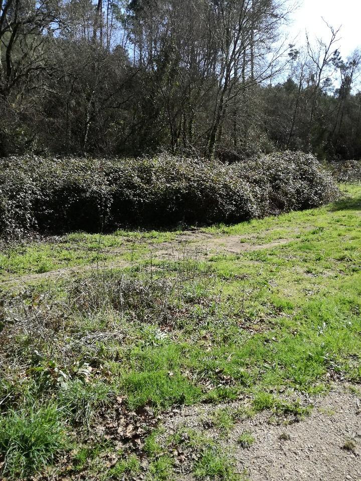 Terreno  Venda em Pias,Monção