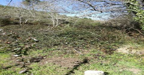 Terreno  Venda em Pias,Monção