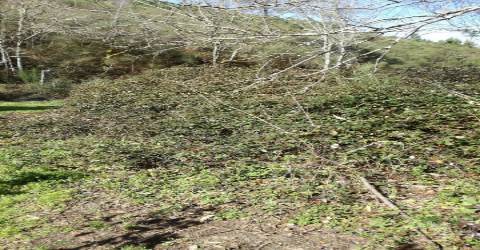 Terreno  Venda em Pias,Monção