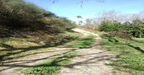 Terreno  Venda em Pias,Monção