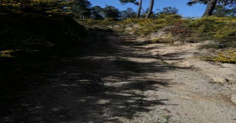 Terreno  Venda em Pias,Monção