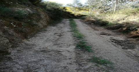 Terreno  Venda em Pias,Monção