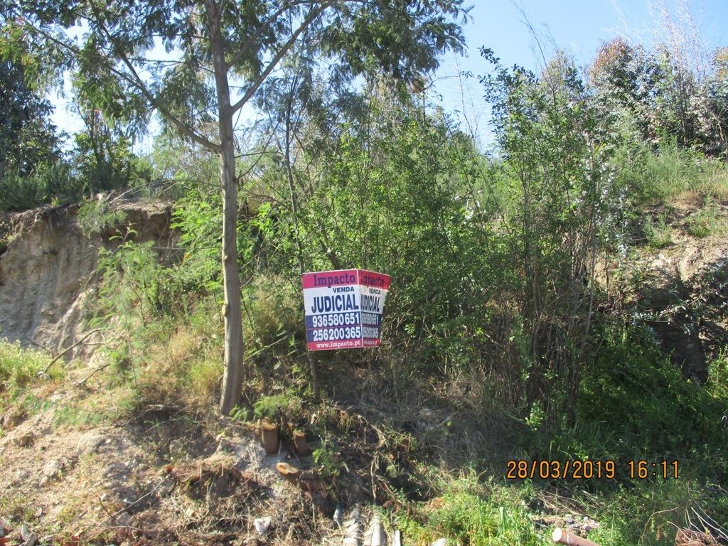 Terreno  Venda em Currelos, Papízios e Sobral,Carregal do Sal