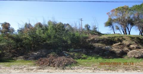 Terreno  Venda em Currelos, Papízios e Sobral,Carregal do Sal