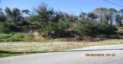 Terreno  Venda em Currelos, Papízios e Sobral,Carregal do Sal