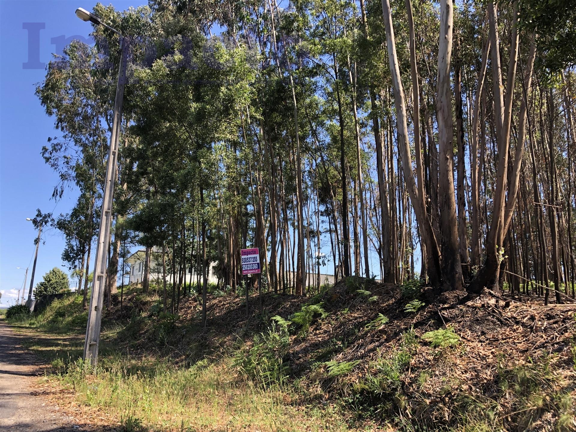 Terreno Rústico em Canedo, VFR