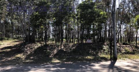 Terreno Rústico em Canedo, Santa Maria da Feira
