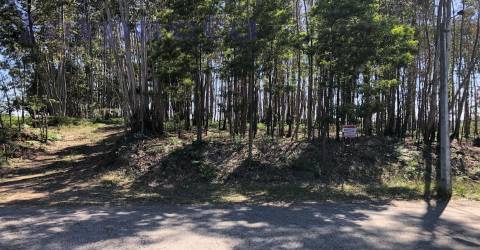 Terreno Rústico em Canedo, Santa Maria da Feira
