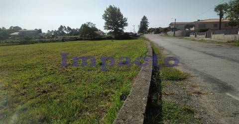 Terreno Rústico em Romariz, Santa Maria da Feira