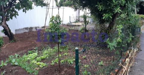 Terreno para construção em São João da Madeira