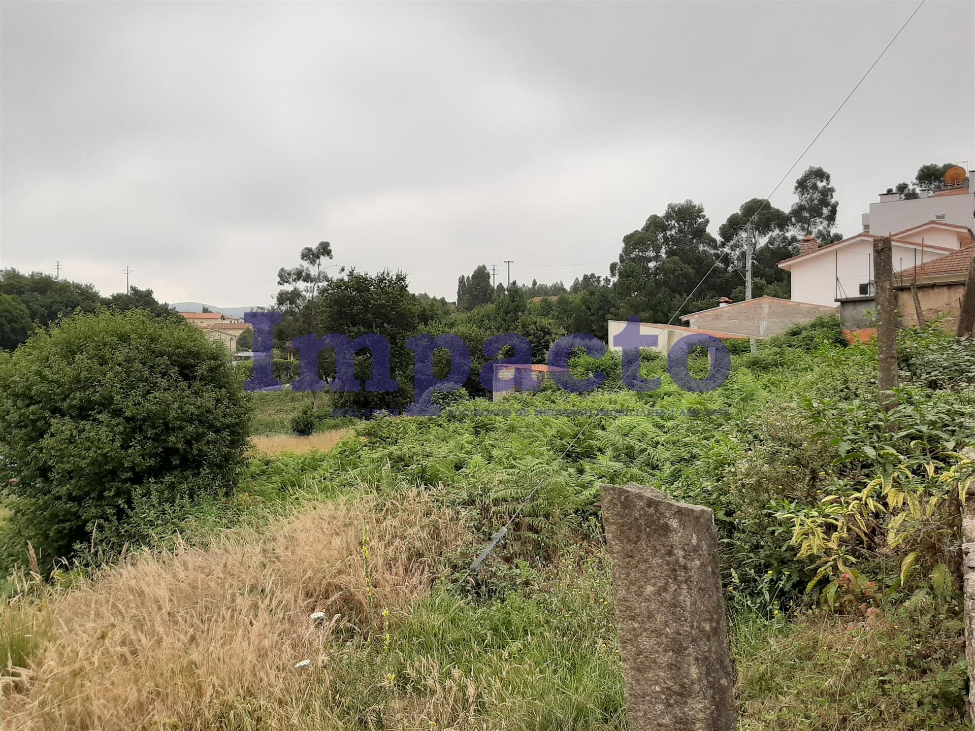 Terreno Rústico  Venda em São Roque,Oliveira de Azeméis