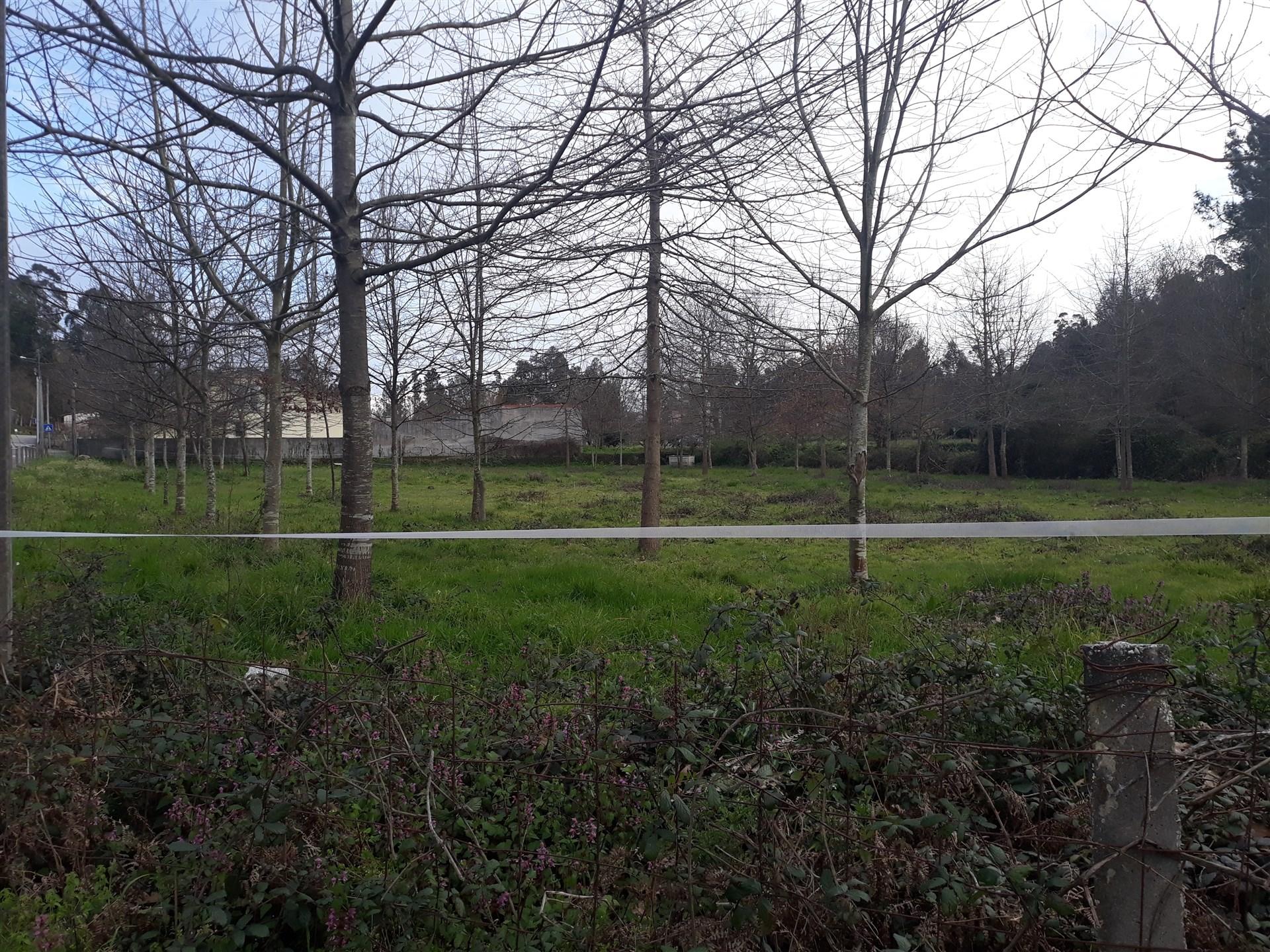 Lote de Terreno  Venda em Cesar,Oliveira de Azeméis