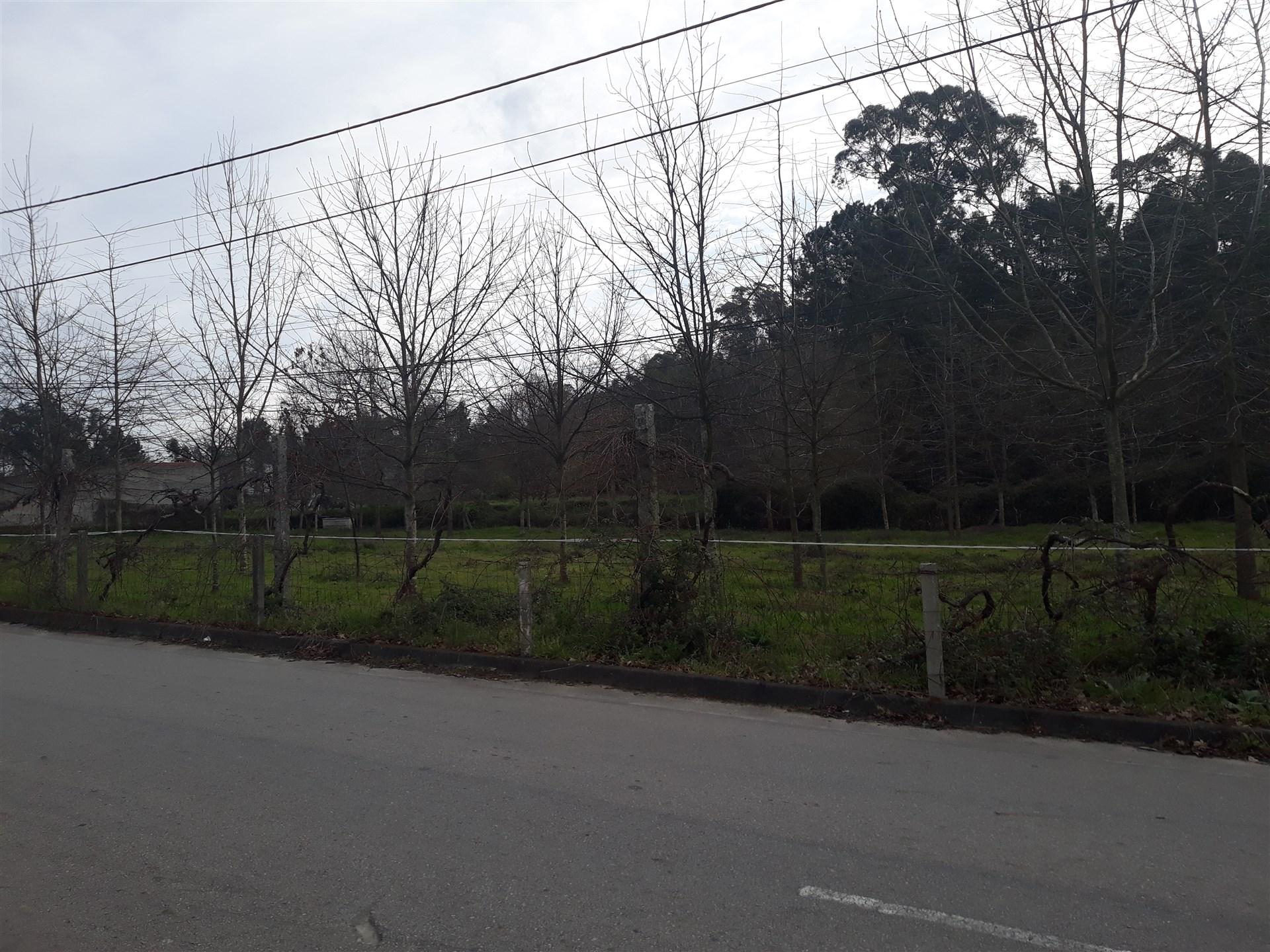 Lote de Terreno  Venda em Cesar,Oliveira de Azeméis