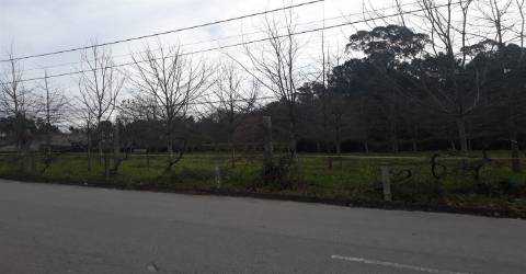 Terreno em Cesar, Oliveira de Azeméis