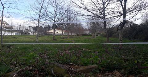 Terreno em Cesar, Oliveira de Azeméis