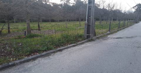 Terreno em Cesar, Oliveira de Azeméis