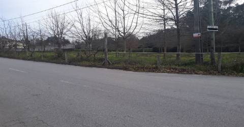 Terreno em Cesar, Oliveira de Azeméis