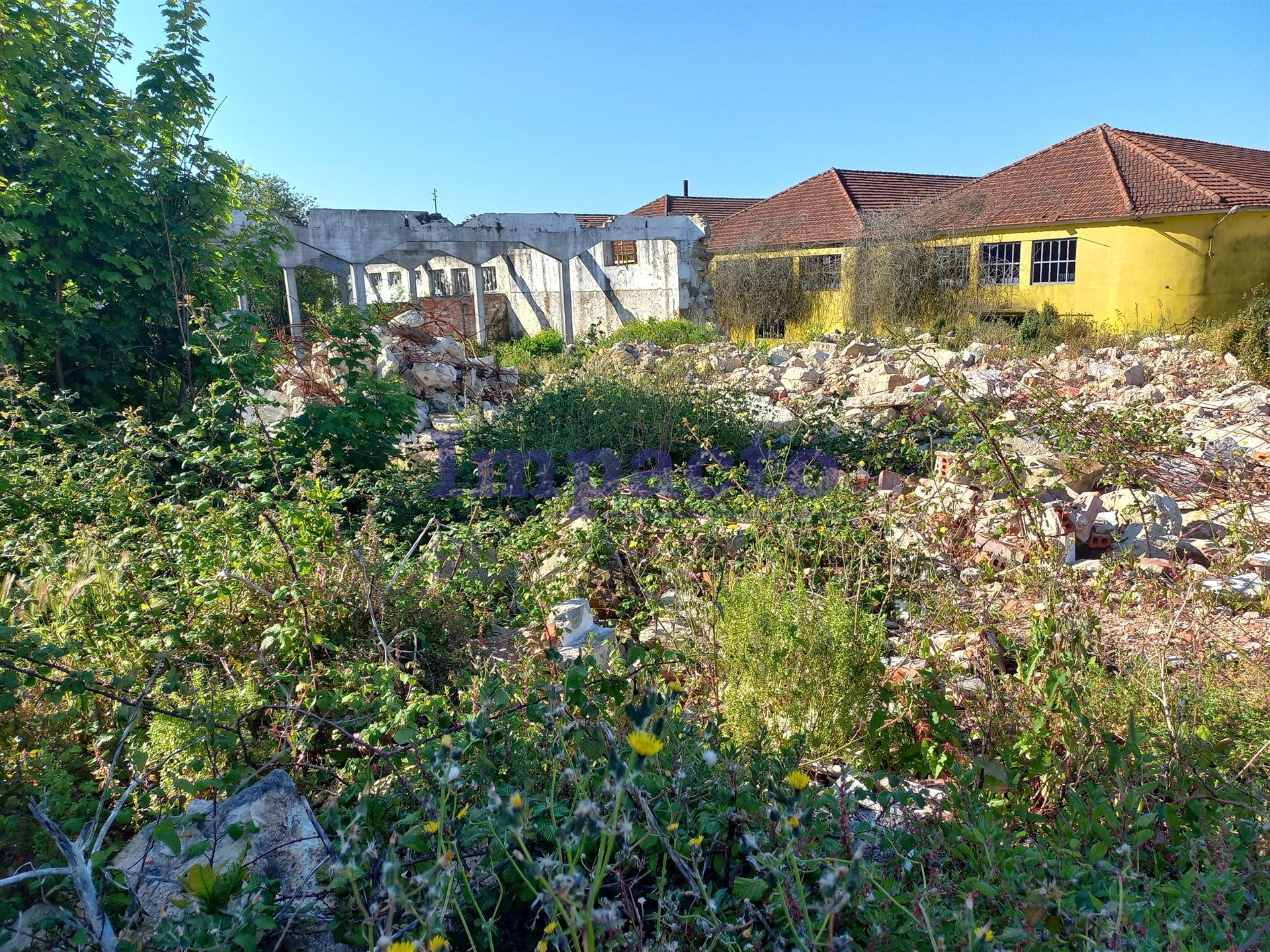 Terreno  Venda em Oliveira de Azeméis, Santiago de Riba-Ul, Ul, Macinhata da Seixa e Madail,Oliveira de Azeméis