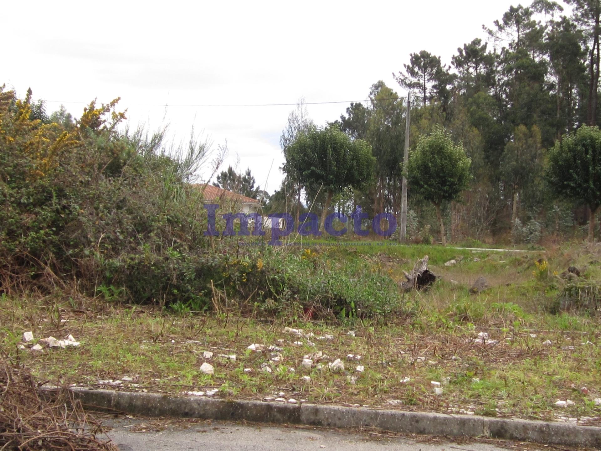 Loteamento  Venda em Fajões,Oliveira de Azeméis