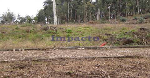 Lotes de Terreno para Construção em Fajões, Oliveira de Azeméis