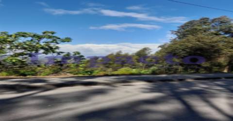 Terreno Rústico em Crestuma, Vila Nova de Gaia