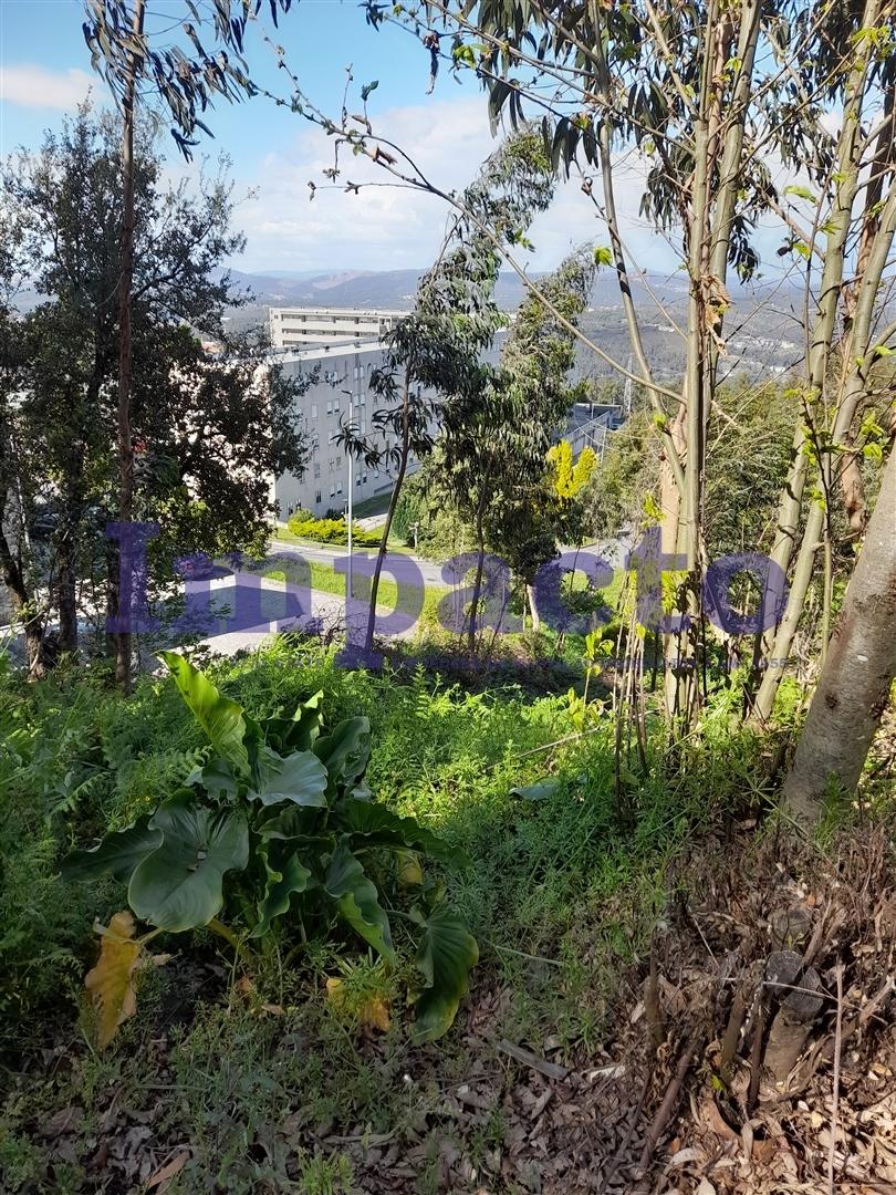 Terreno Rústico  Venda em Sandim, Olival, Lever e Crestuma,Vila Nova de Gaia