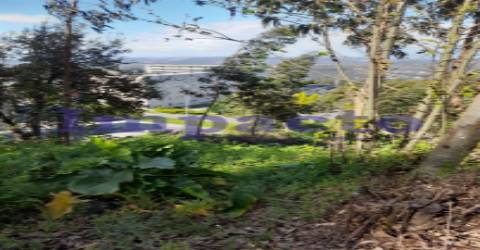 Terreno Rústico em Crestuma, Vila Nova de Gaia