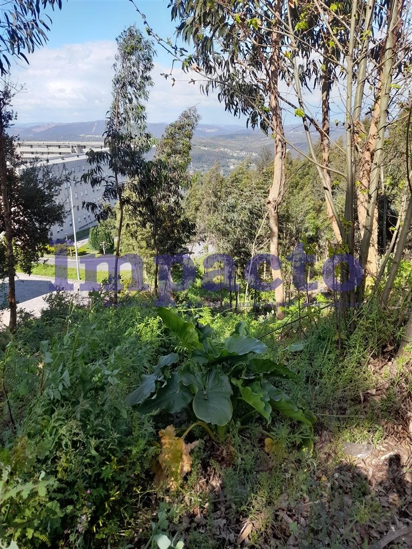 Terreno Rústico  Venda em Sandim, Olival, Lever e Crestuma,Vila Nova de Gaia