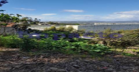 Terreno Rústico em Crestuma, Vila Nova de Gaia