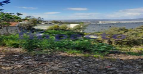 Terreno Rústico em Crestuma, Vila Nova de Gaia