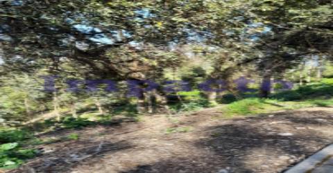 Terreno Rústico em Crestuma, Vila Nova de Gaia