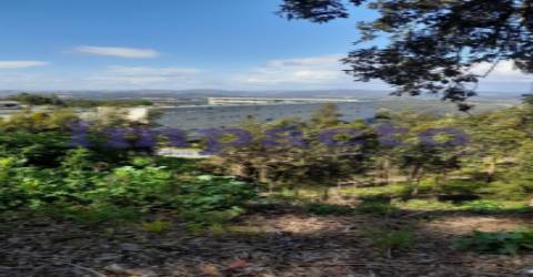 Terreno Rústico em Crestuma, Vila Nova de Gaia