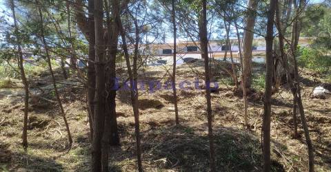 Lote terreno  para construção  de moradia unifamiliar em Cesar, Oliveira de Azeméis