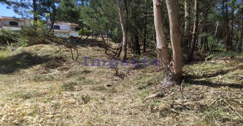 Lote terreno  para construção  de moradia unifamiliar em Cesar, Oliveira de Azeméis