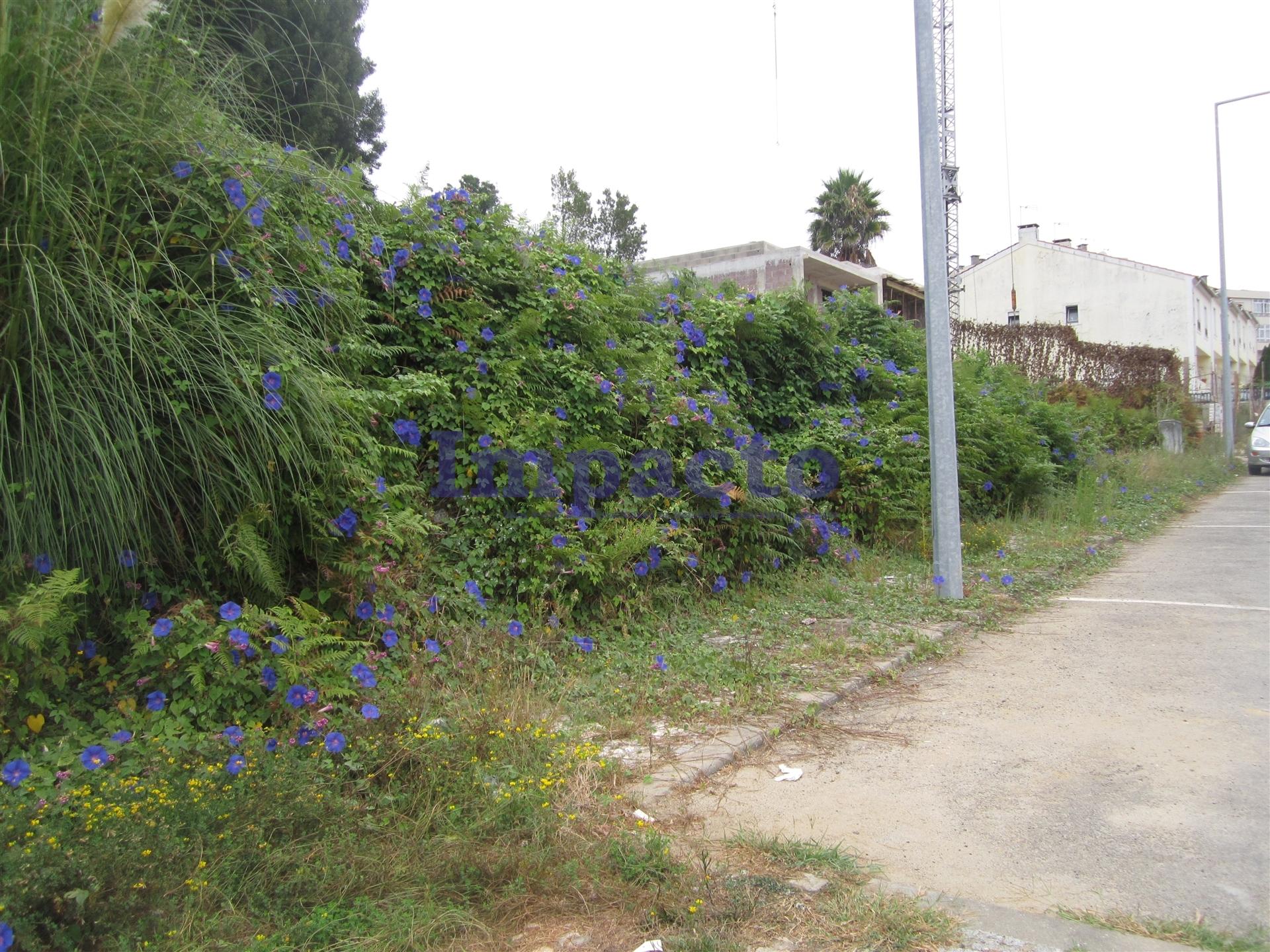 Loteamento  Venda em Vila de Cucujães,Oliveira de Azeméis