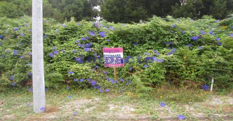 Loteamento em Cucujães, Oliveira de Azeméis