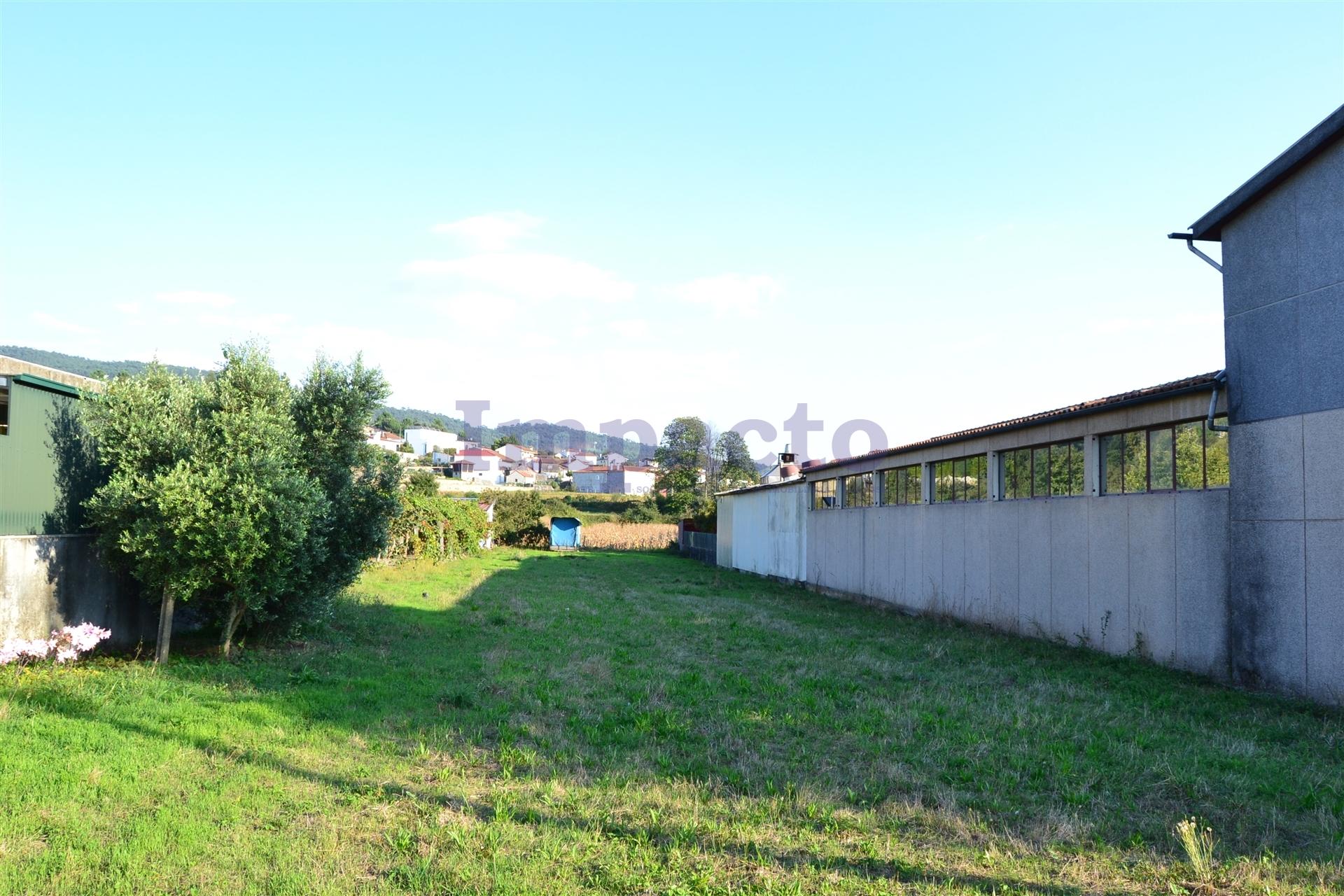 Terreno  Venda em Carregosa,Oliveira de Azeméis