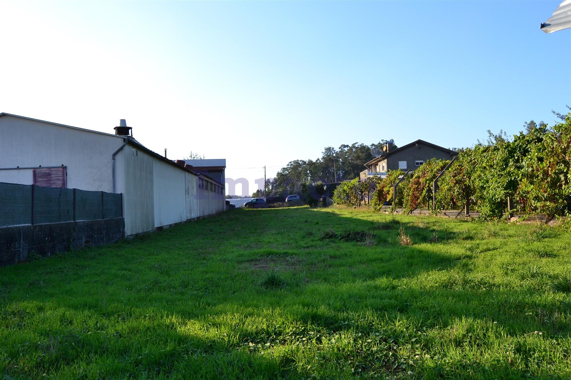 Terreno  Venda em Carregosa,Oliveira de Azeméis