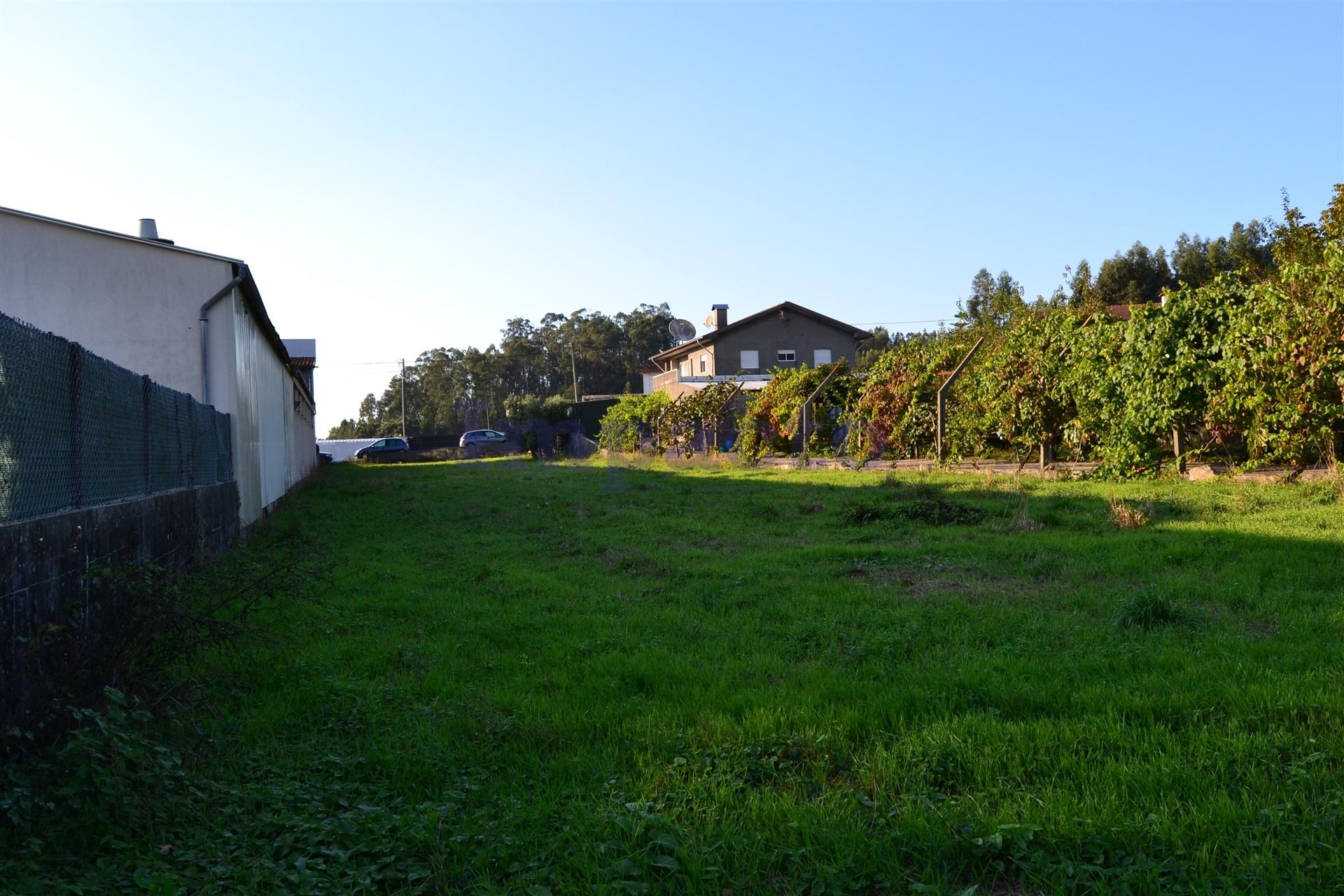 Terreno  Venda em Carregosa,Oliveira de Azeméis