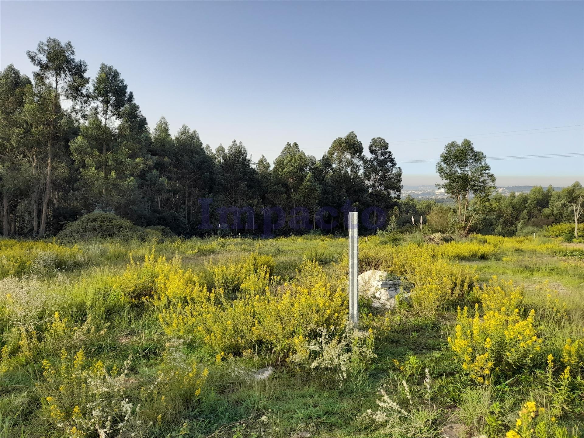 Terreno, Aveiro, Santa Maria da Feira, Santa Maria da Feira, Travanca, Sanfins e Espargo