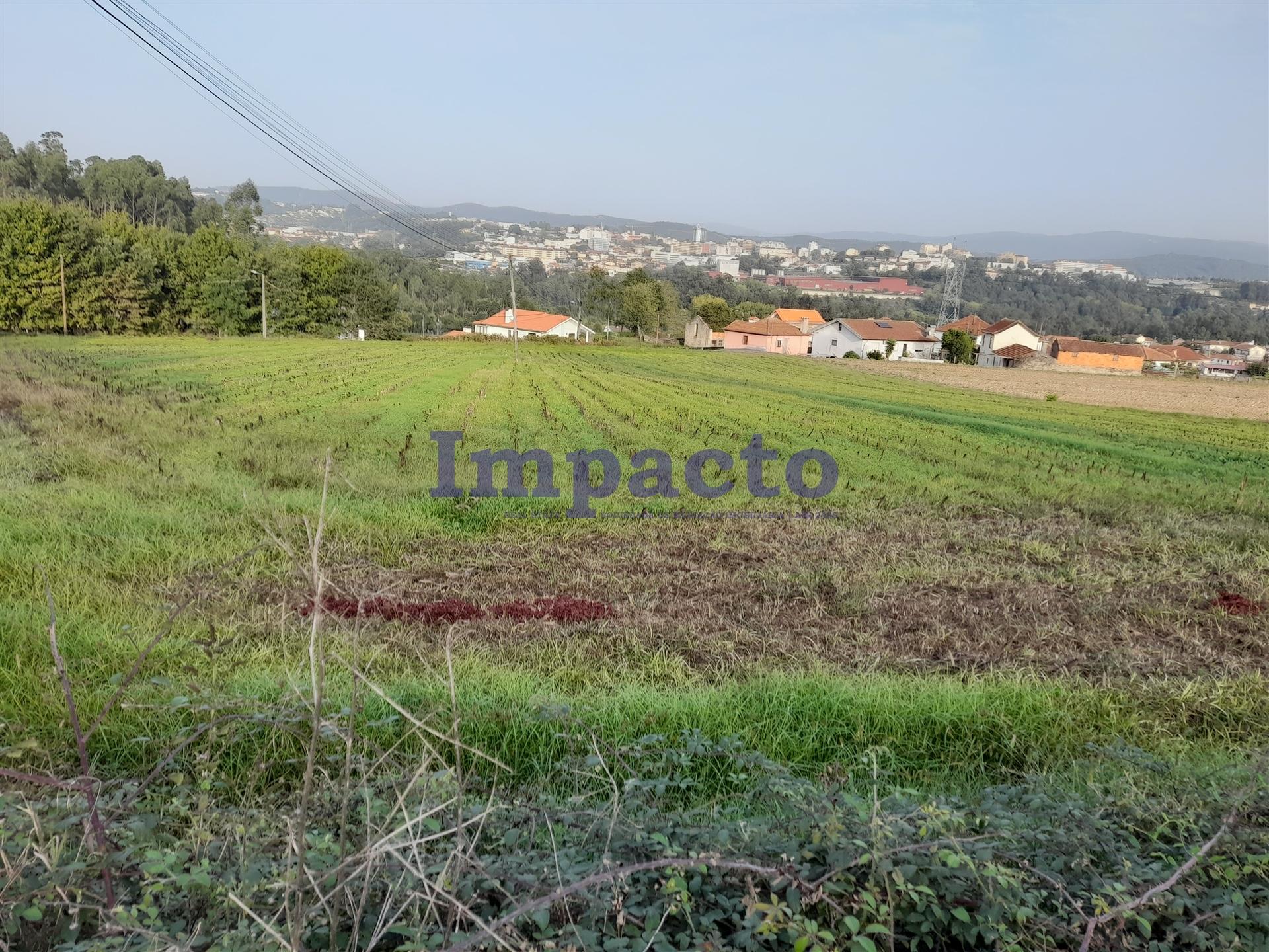 Terreno  Venda em Oliveira de Azeméis, Santiago de Riba-Ul, Ul, Macinhata da Seixa e Madail,Oliveira de Azeméis