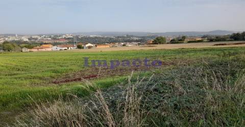 Terreno Rústico em Madaíl, Oliveira de Azeméis