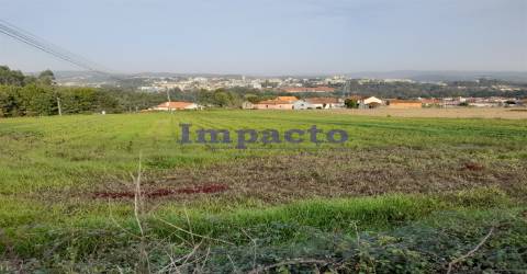 Terreno Rústico em Madaíl, Oliveira de Azeméis