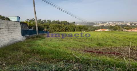 Terreno Rústico em Madaíl, Oliveira de Azeméis