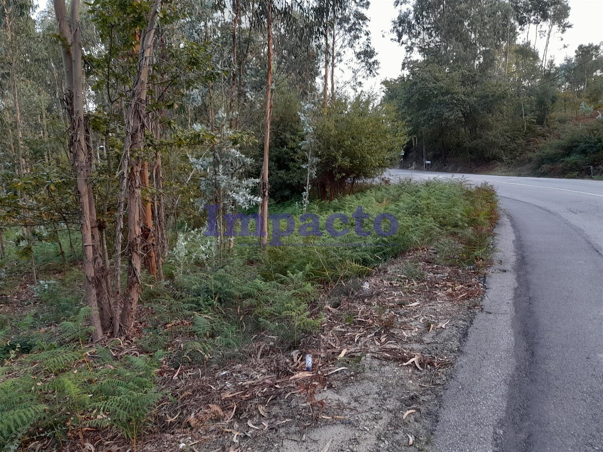 Terreno  Venda em Oliveira de Azeméis, Santiago de Riba-Ul, Ul, Macinhata da Seixa e Madail,Oliveira de Azeméis